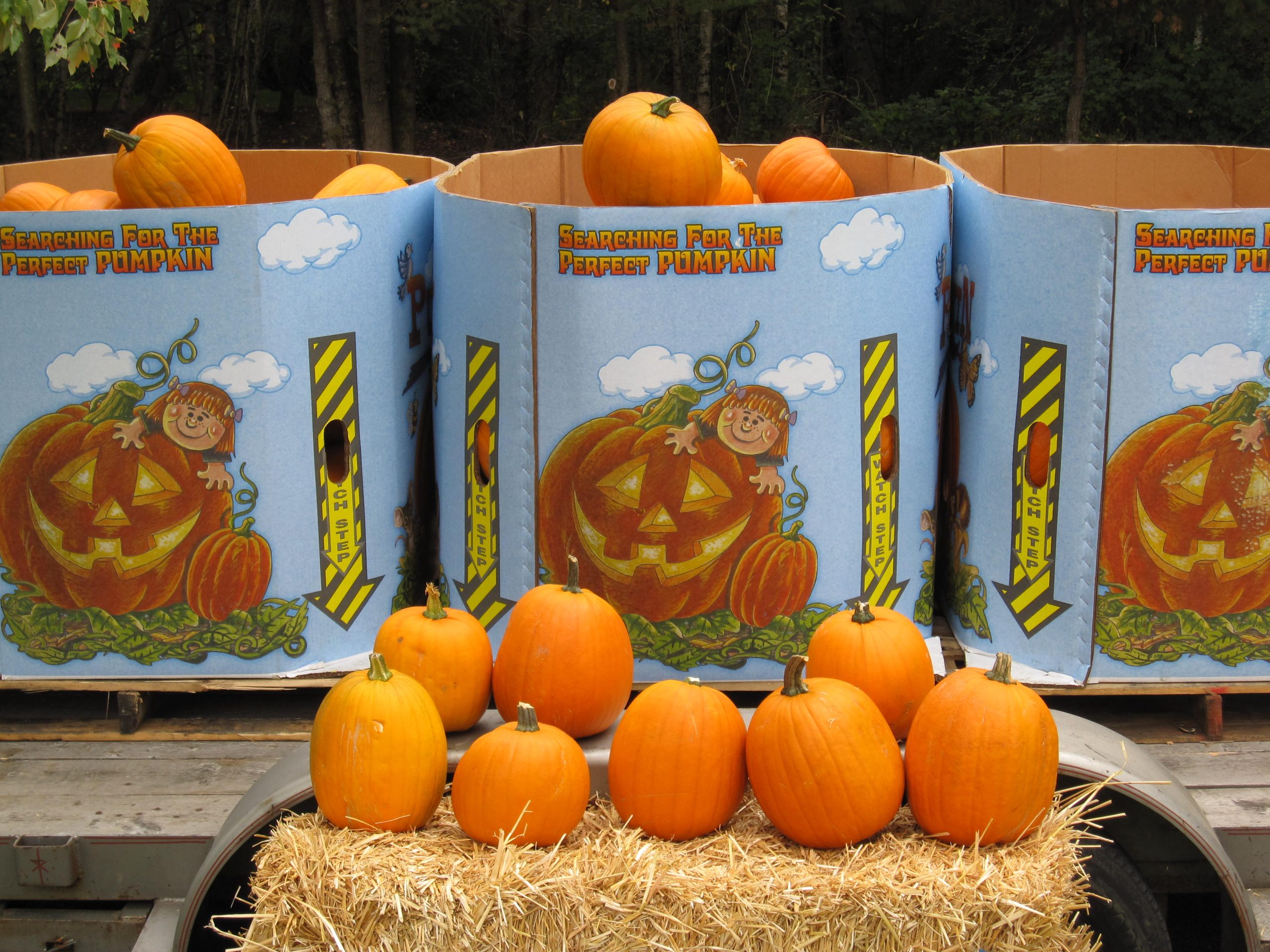 Food Drive '09 015 - Copy